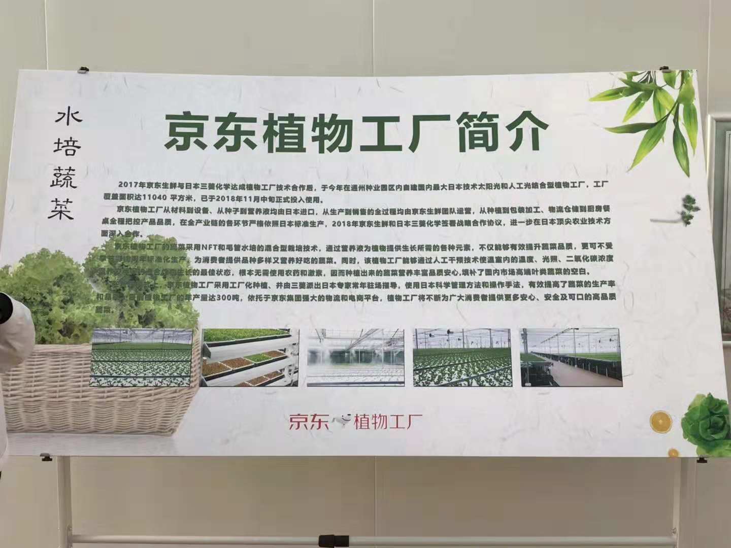 生而領鮮:京東植物工廠亮相通州,助力京東生鮮、7Fresh